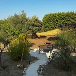 Tatil Evi La Casa Degli Ulivi