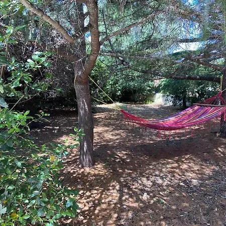 La Casa Degli Ulivi בית נופש *