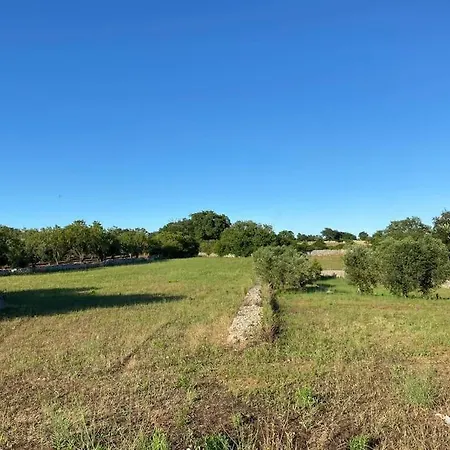 Holiday home La Casa Degli Ulivi