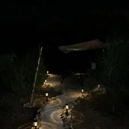 La Casa Degli Ulivi *