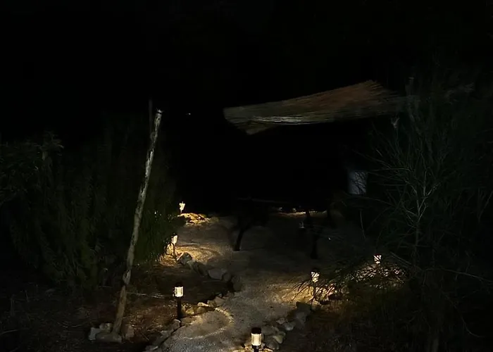 La Casa Degli Ulivi *