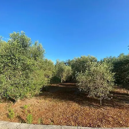 La Casa Degli Ulivi Prázdninový dům Ostuni