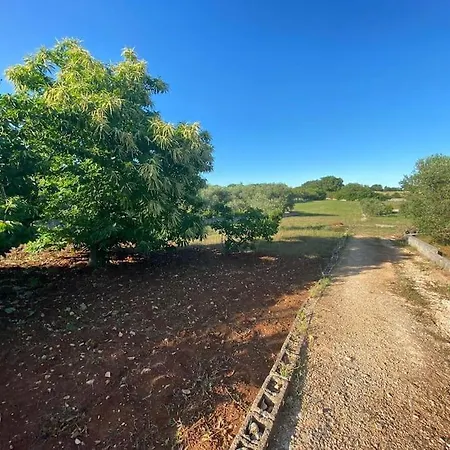 La Casa Degli Ulivi * Ostuni