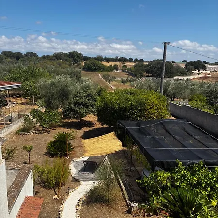 La Casa Degli Ulivi Hébergement de vacances *