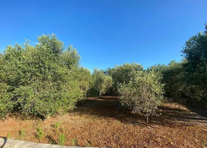 La Casa Degli Ulivi Hébergement de vacances Ostuni