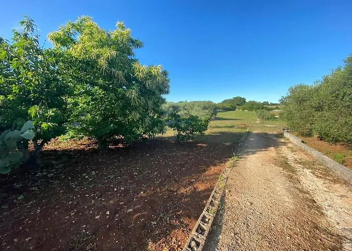 La Casa Degli Ulivi * Ostuni