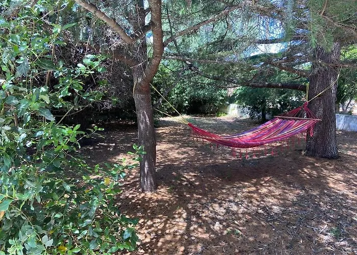 La Casa Degli Ulivi Hébergement de vacances *