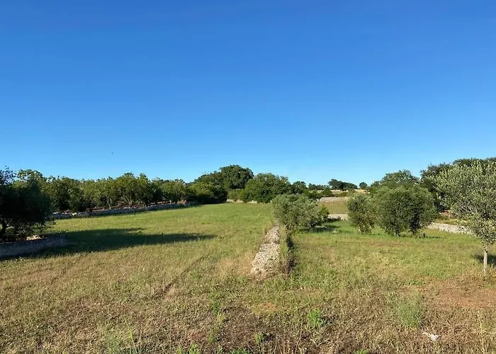 Hébergement de vacances La Casa Degli Ulivi