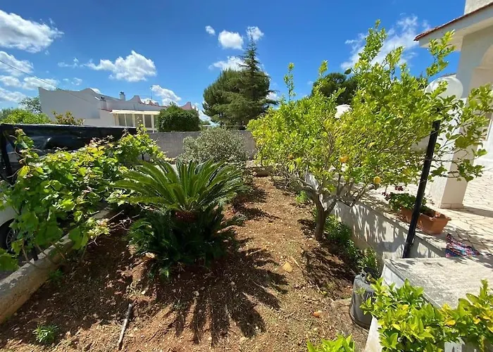 La Casa Degli Ulivi *